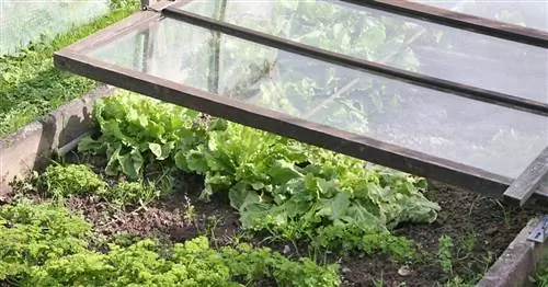 10 советов для холодного кадра