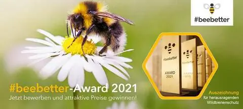 beebetter премия 2021
