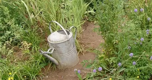 Уход за садом в арендованном саду