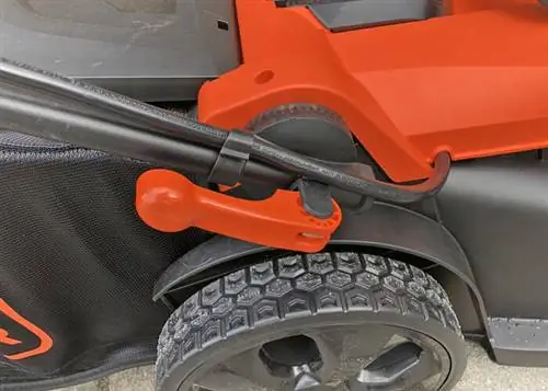 Image Image