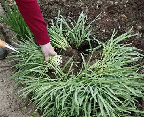 Вытащите кусочки Вытащите кусочки