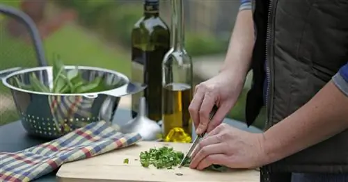 Ароматное масло черемши собственного производства