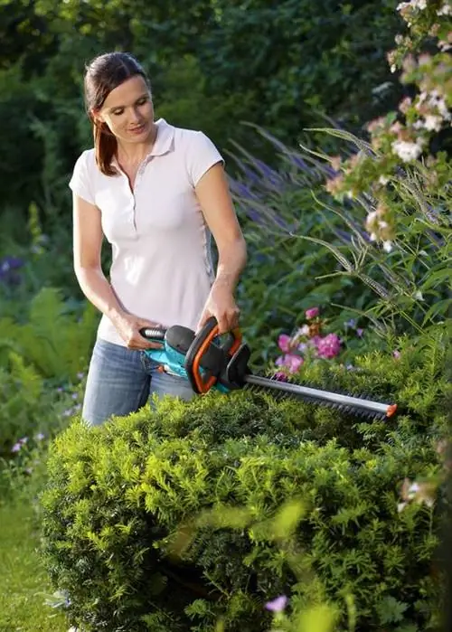 Триммер для живой изгороди Gardena