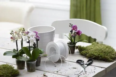 Материалы для кокедамы