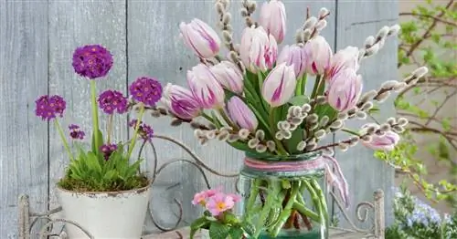 Букет из тюльпанов: Красочный весенний привет из сада