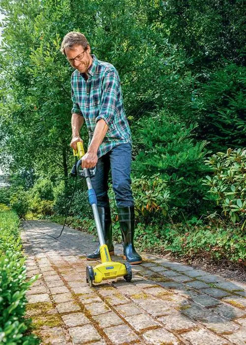 Gloria WeedКисть