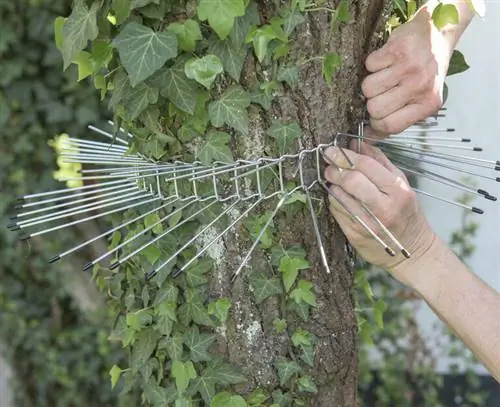 Измерьте проволочный ремень на багажнике