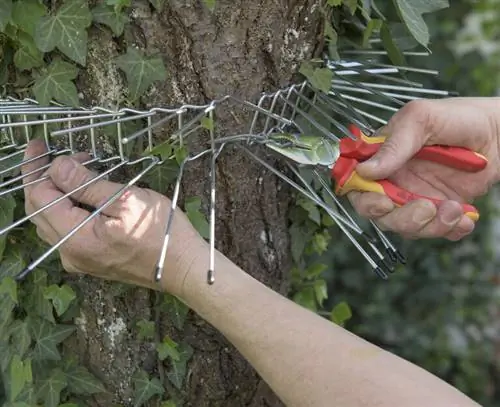 Прикрепите кошачий репеллент к багажнику с помощью проволоки.