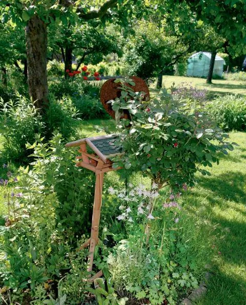 место кормления