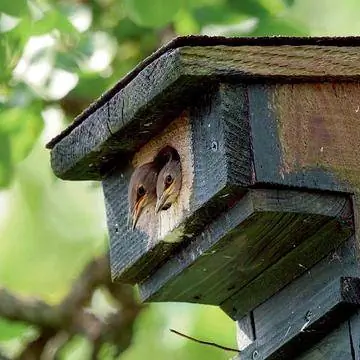 звездная коробка