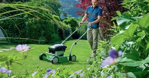 Мульчирующая косилка: Стрижка газона без травосборника