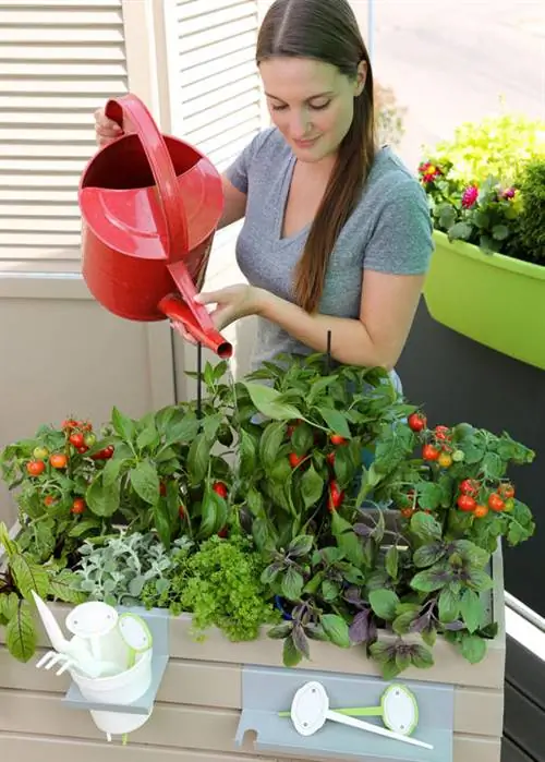 Аккуратно полейте грядку