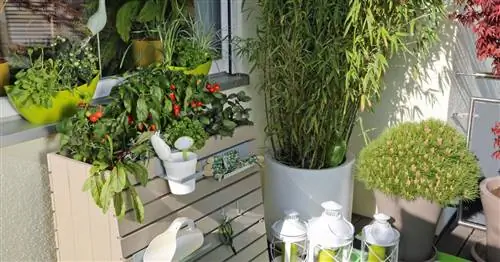 Мобильная высокая грядка: Небольшой закусочный садик на балконе