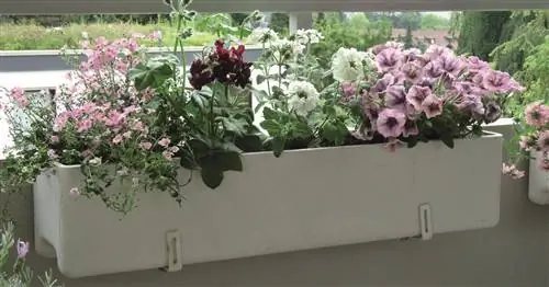 Проблемы из-за цветочных ящиков на балконе