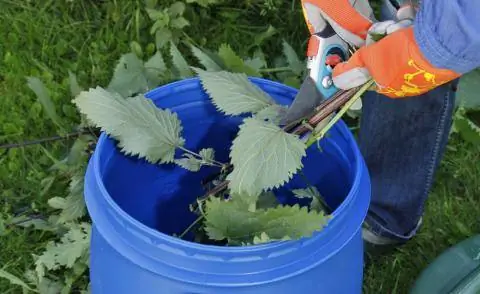 Сделать навоз из крапивы