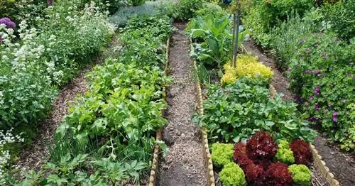 10 советов по органическому садоводству