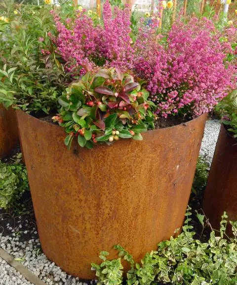 Плантатор из кортеновской стали