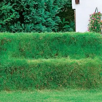 газон диван