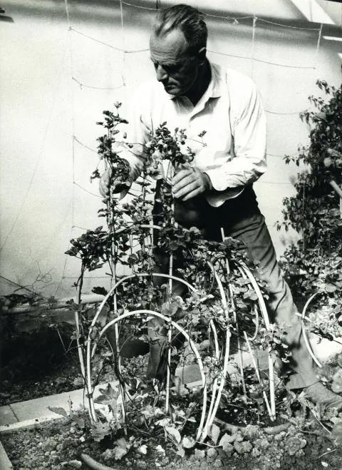 Райнхольд Хуммель