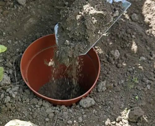 Заполните корневой барьер почвой