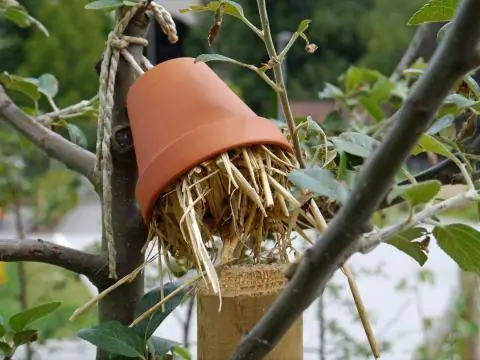 запоминающийся район