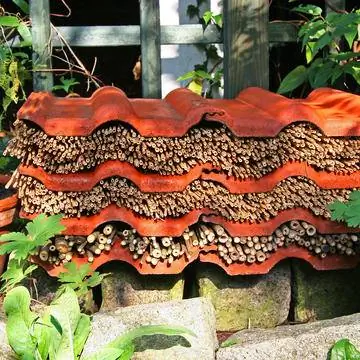 Отель диких пчел с черепицей и камышом