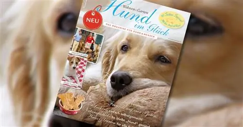 Новинка: "Hund im Glück" – журнал собак для собак & человек