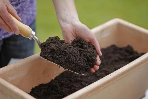 Качественный грунт для рассады