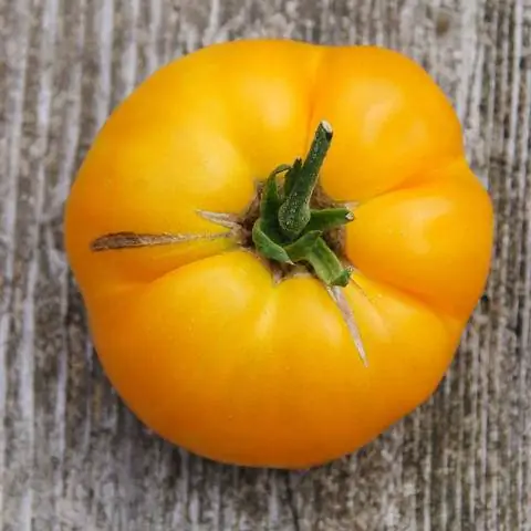 «ананас помидор»