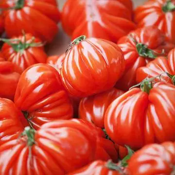 «Бычье сердце», Coeur de Boeuf