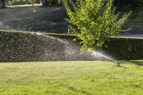 полить газон