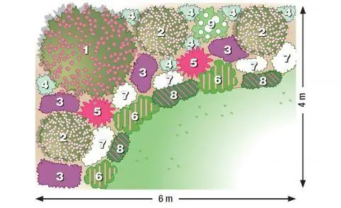 План посадки Гармоничная секция грядки
