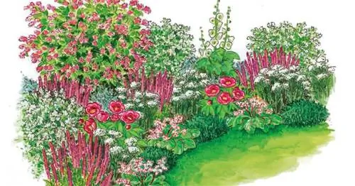 Для пересадки: Гармоничная секция грядки