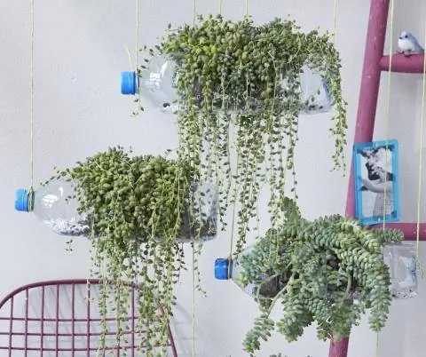 Вертикальный сад из пластиковых бутылок