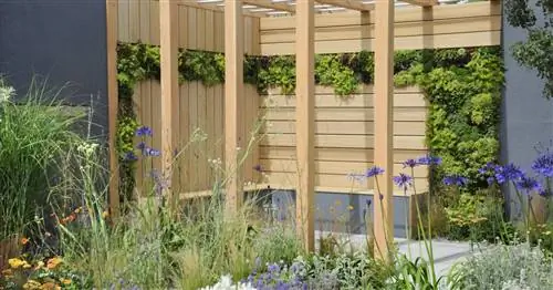 Вертикальный сад: высоко с живой зеленью