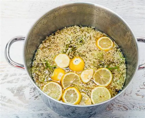 Приготовить сироп из цветков бузины.