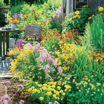 Разнообразный цветник