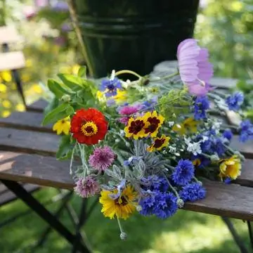 луговой букет