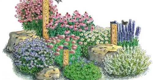 Вот как вы проектируете безопасные для насекомых кровати