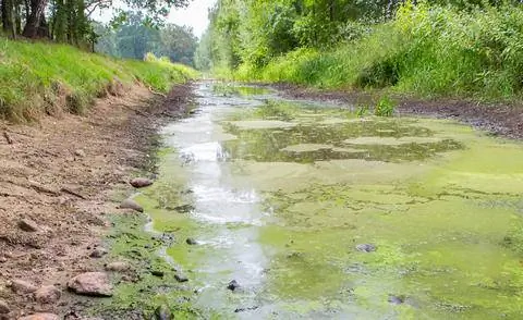 русло реки с низким уровнем воды