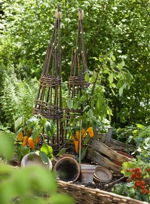 Вспомогательные средства для лазания по иве