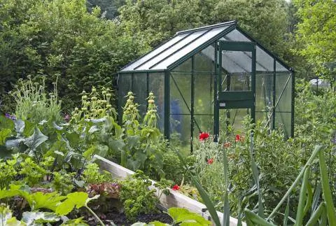 Теплица в собственном саду