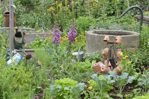 Фонтан в огороде