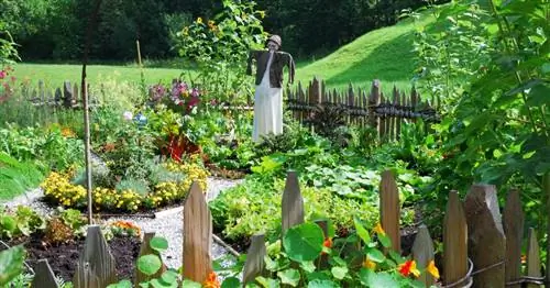 Идеи оформления огорода