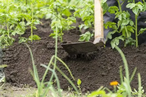 складывать картошку