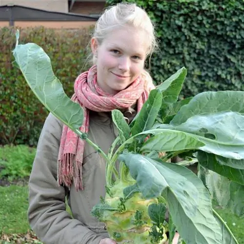 Ханна Волленброкер