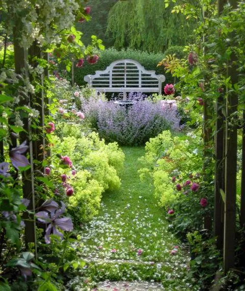 шпалеры в саду