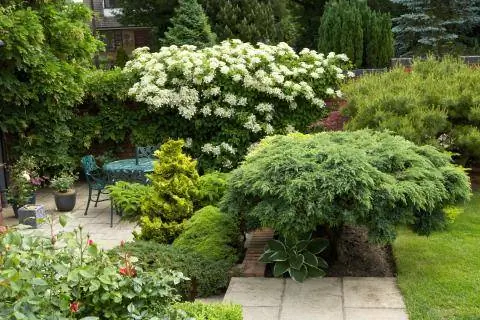 затонувший сад