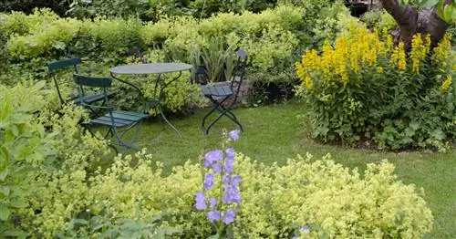 10 приемов оформления маленького сада