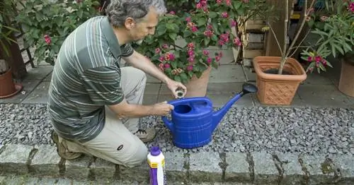 Лучшие советы по удобрению растений в горшках